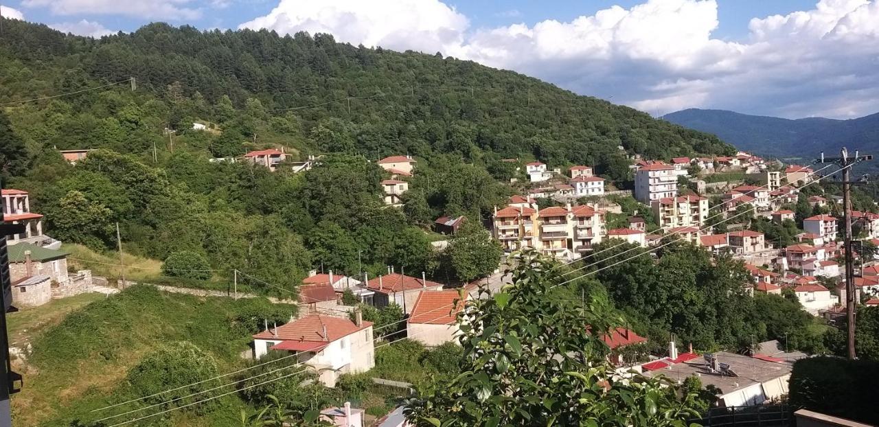 Το Σπίτι Της Ευτυχίας Σουίτα Apartment Karpenisi Exterior photo